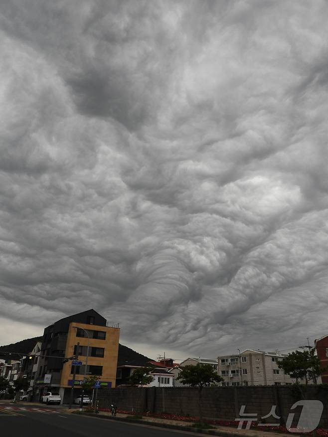 어린이 날이자 부처님 오신 날인 5일 오후 제주시 연동 하늘에 '거친물결구름'이 떠 있다. 거친물결구름은 상층의 찬 공기와 하층의 따뜻한 공기가 강하게 충돌하면서 대기가 불안정할 때 만들어진다.2025.5.5/뉴스1 ⓒ News1 오미란 기자