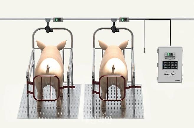 딥아이즈 풀샷. ⓒ엠트리센