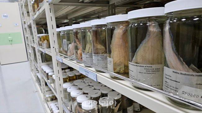 국립해양생물자원관 내 실물자원 수장고 모습. ⓒ데일리안 장정욱 기자