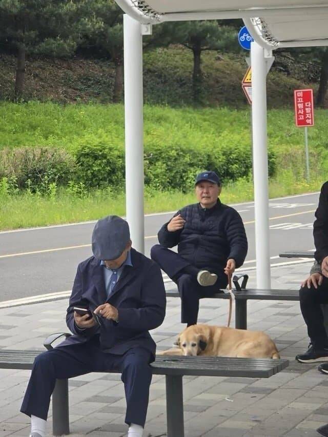 5일 서울 동작대교 부근 한강공원에서 포착된 윤석열 전 대통령. 온라인 커뮤니티 갈무리