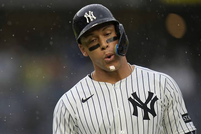 <yonhap photo-1558=""> 메이저리그 타율, 안타, 타점, 출루율, 장타율, 타점 부문 1위를 달리고 있는 애런 저지. (AP Photo/Seth Wenig)/2025-05-05 06:34:05/ <저작권자 ⓒ 1980-2025 ㈜연합뉴스. 무단 전재 재배포 금지, AI 학습 및 활용 금지></yonhap>