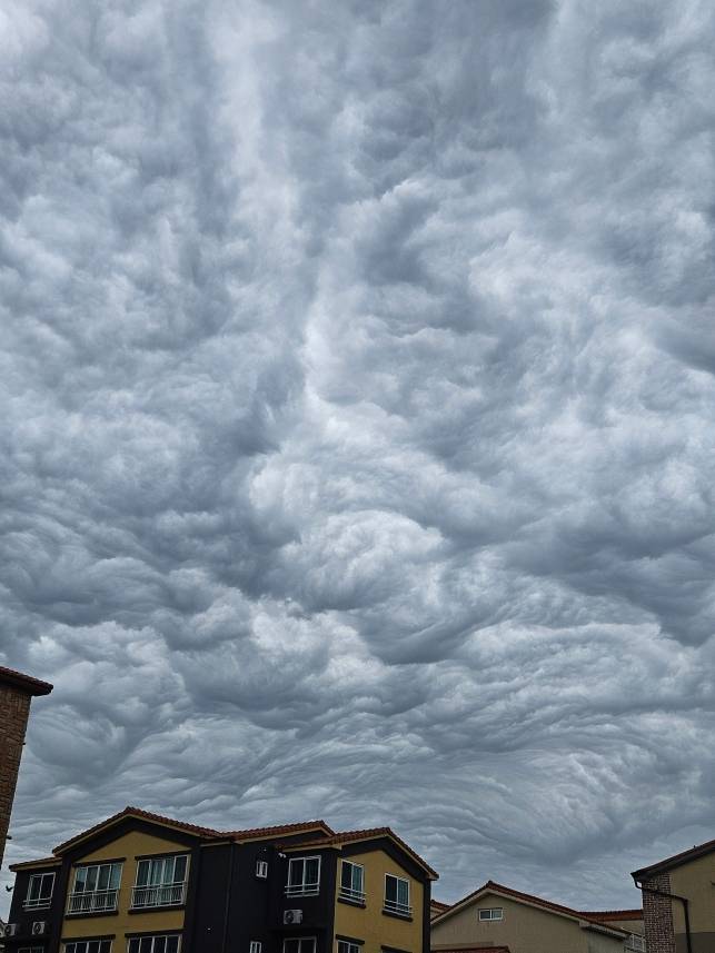 오늘(5일) 낮 제주시 곳곳에서 '거친물결구름'으로 추정되는 구름이 관측됐다. (시청자 제보)