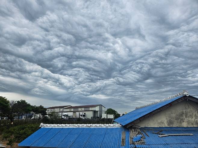 오늘(5일) 낮 제주시 곳곳에서 '거친물결구름'으로 추정되는 구름이 관측됐다. (시청자 제보)