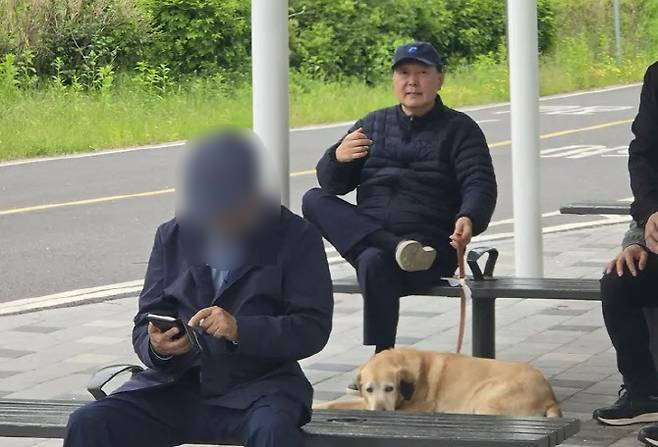 오늘(5일) 온라인상에서 확산하는 윤석열 전 대통령 모습. 윤 전 대통령은 한강공원에서 반려견과 휴식을 취하고 있다. (사진, 온라인 커뮤니티)