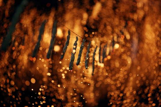 수천개의 낙화봉에서 불꽃이 떨어지고 있다. [사진 함안군청]