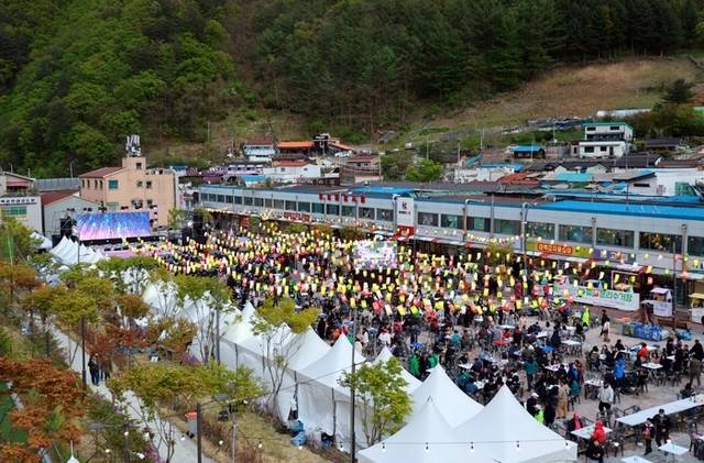 ▲ 지난 2일부터 4일까지 광산 역사의 중심지 장성 탄탄마당에서 열린 ‘2025년 태백 천상의 산나물 축제’가 송가인·나태주·박군 등 유명 트롯 가수들의 총출동한 가운데 고원지역 산나물의 맛과 우수성을 알리며 성황리에 막을 내렸다. 2025년 태백 천상의 산나물 축제 모습.