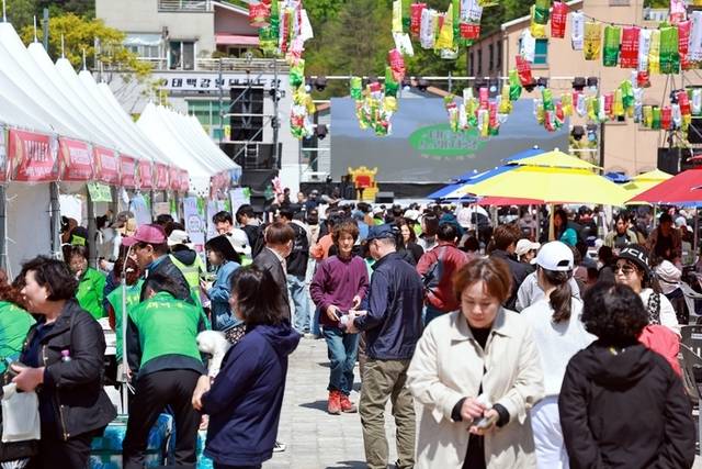 ▲ 지난 2일부터 4일까지 광산 역사의 중심지 장성 탄탄마당에서 열린 ‘2025년 태백 천상의 산나물 축제’가 송가인·나태주·박군 등 유명 트롯 가수들의 총출동한 가운데 고원지역 산나물의 맛과 우수성을 알리며 성황리에 막을 내렸다. 2025년 태백 천상의 산나물 축제 모습.