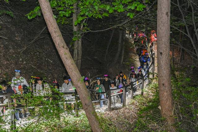 ▲ 참가자에게 지급한 야광 머리띠와 야광봉이 어둠속에서 반짝이는 불빛으로 인해 이색적인 풍광을 만들어냈다.