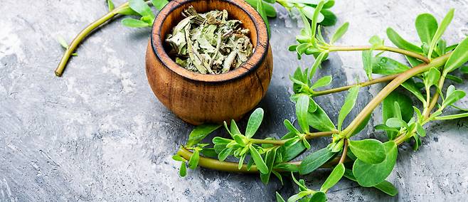 클립아트코리아 제공