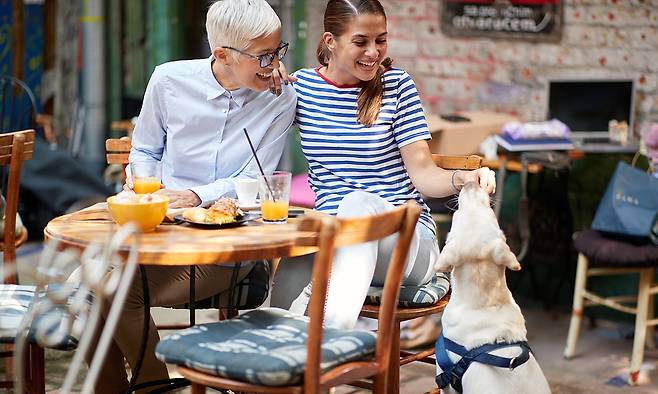 사진=게티이미지뱅크 제공