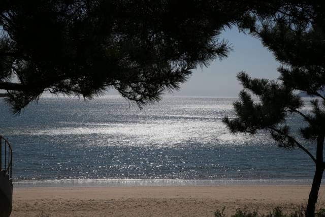 소야도 뗏부루 전경. 사진제공=옹진군