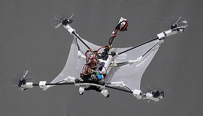 날다람쥐 드론 [한수희 교수팀 제공. 재판매 및 DB 금지]