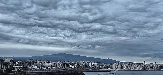 제주 하늘 뒤덮은 기묘한 먹구름 (제주=연합뉴스) 김호천 기자 = 어린이날인 5일 오후 제주시 삼양동에서 본 한라산 위 기묘한 다층운. 파상고층운 또는 거친물결구름 등으로 불린다. 2025.5.5. khc@yna.co.kr