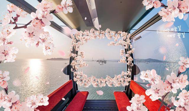 서해랑 케이블카가 크리스털 캐빈 내부를 꽃으로 단장한다. 사진=서해랑 케이블카