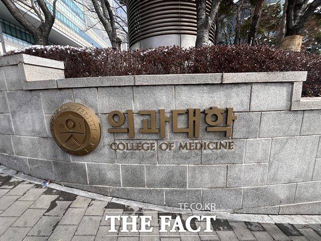 의대생들의 유급 및 제적이 7일 최종 확정되며 철회나 취소는 없을 예정이다. /더팩트 DB