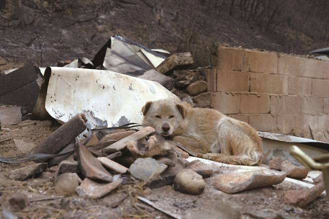 어린이과학동아 제공
