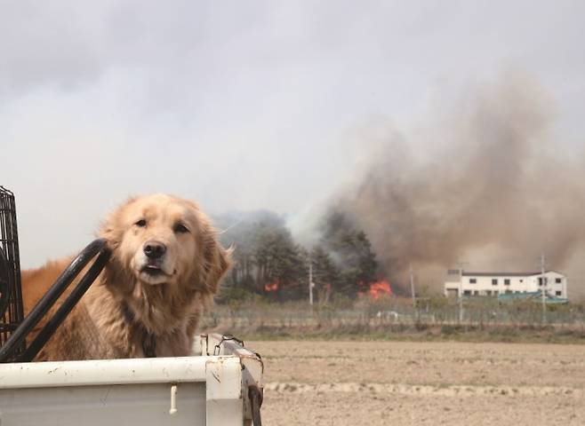 루시의 친구들 제공
