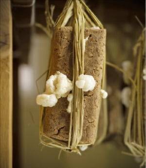 정연두 ‘바실러스 초상 #5’  국제갤러리 제공