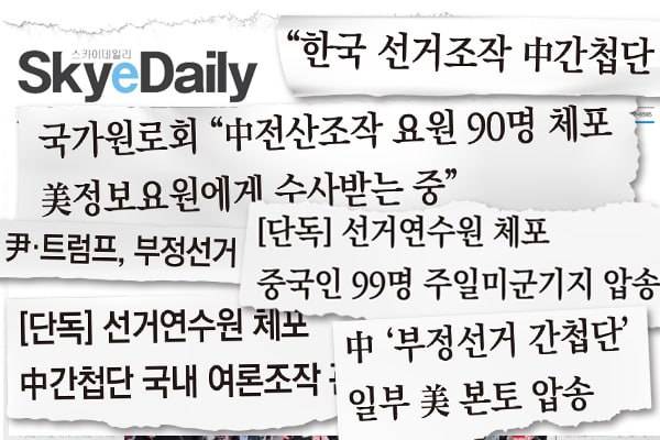 ▲ 스카이데일리의 문제적 기사 제목 모음. 디자인=안혜나 기자.