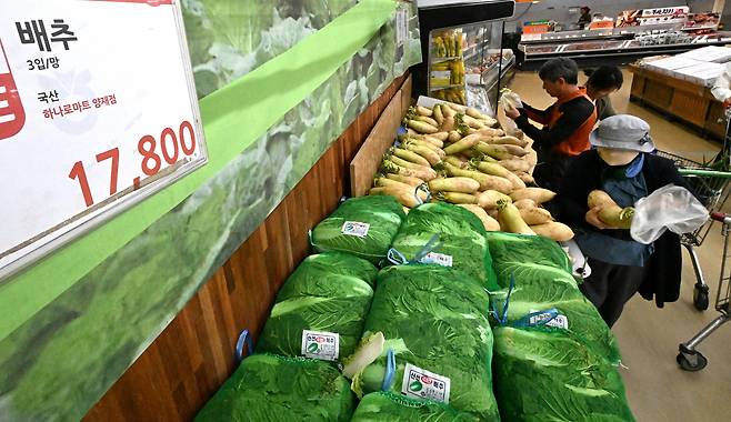 서울 서초구 하나로마트 양재점에서 시민들이 김장용 배추와 무를 살펴보고 있다.[헤럴드경제DB]