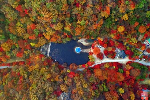 전문가와 함께 ‘트래블스냅’ 찍는 법을 배운다. 사진은 하늘에서 본 내장산 우화정의 아름다운 모습. 정읍시