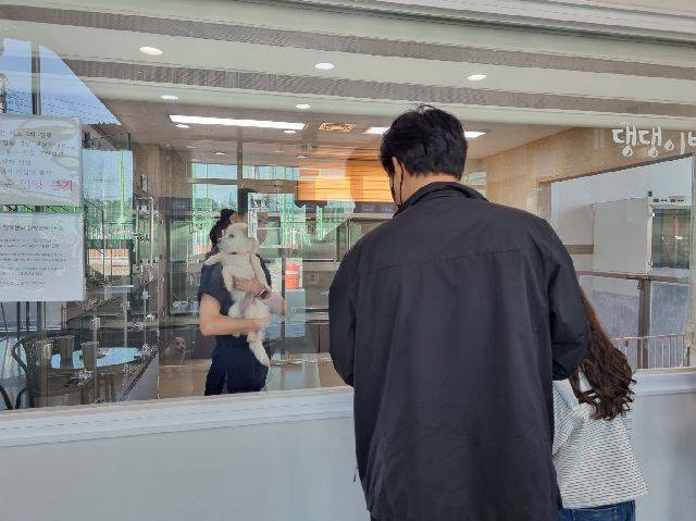 부산의 한 유기동물입양센터 모습. 부산일보DB
