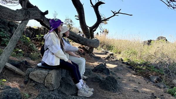 제주올레 18코스 시비코지에 설치된 모작벤치.(사)제주올레 제공.