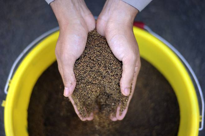 유채박 (사진=AFP)