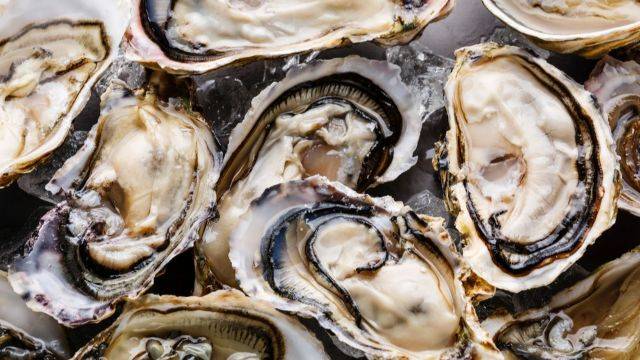 오메가3 지방산은 인지 기능과 우울증 개선 효과가 있다 | 출처: 클립아트코리아