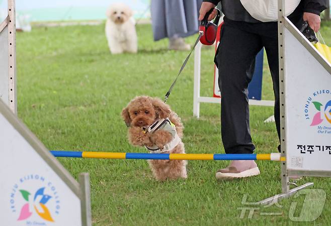3일 전북자치도 임실군 오수면에서 열린 '2025 임실N펫스타'에서 관광객들이 반려견들과 즐거운 시간을 보내고 있다.  (임실군청 제공. 재판매 및 DB 금지) 2025.5.3/뉴스1