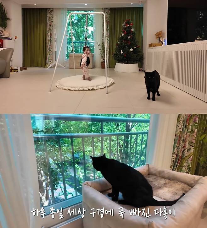 (유튜브 '박수홍 행복해다홍)