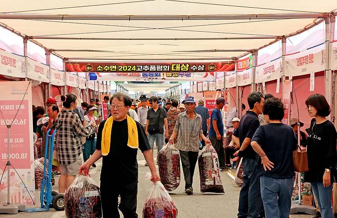 작년 8월 괴산 유기농엑스포광장 일원에서 열린 청결고추 직거래 장터 모습 사진=괴산군 제공