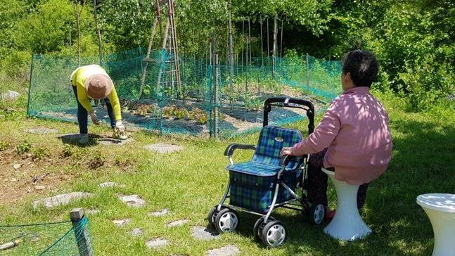 며느리가 농원에서 일하는 모습을 지켜보는 어머니 ⓒ