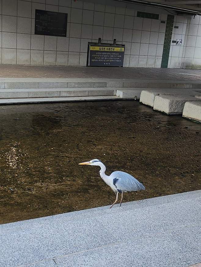 3fb8c32fffd711ab6fb8d38a4f83746ffd0e5ca9c952ed454a8be1196647cec2bcc6a75eca0f48a84a6ac8903c