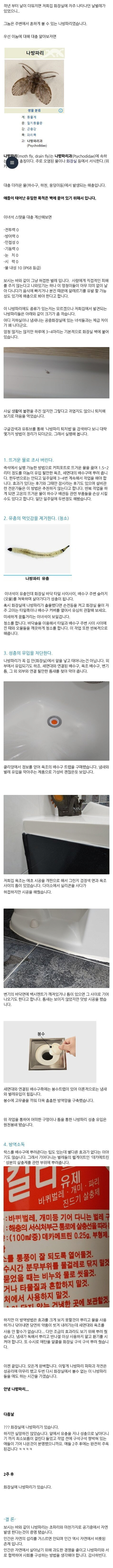 image.png 화장실 나방파리 없애기 꿀팁.jpg