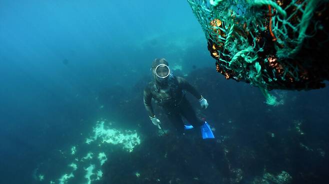 제주 해녀의 놀라운 잠수 능력 비결은 유전자 변이에 있다는 연구 결과가 나왔다. 제주해녀박물관/유네스코