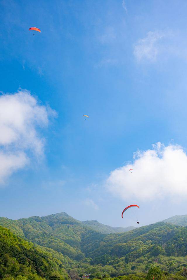 경기 양평군 유명산 패러글라이딩 활공장 착륙장을 향해 패러글라이더가 하강하고 있다.