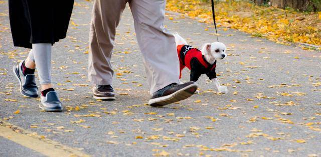 게티이미지뱅크