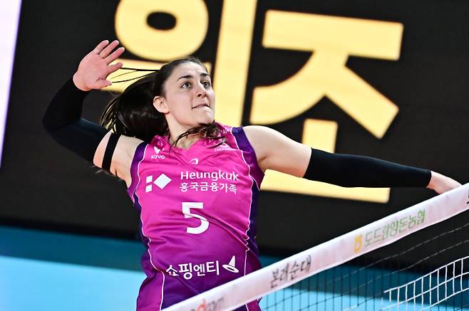 흥국생명 미들블로커로 활약한 피치. KOVO 제공