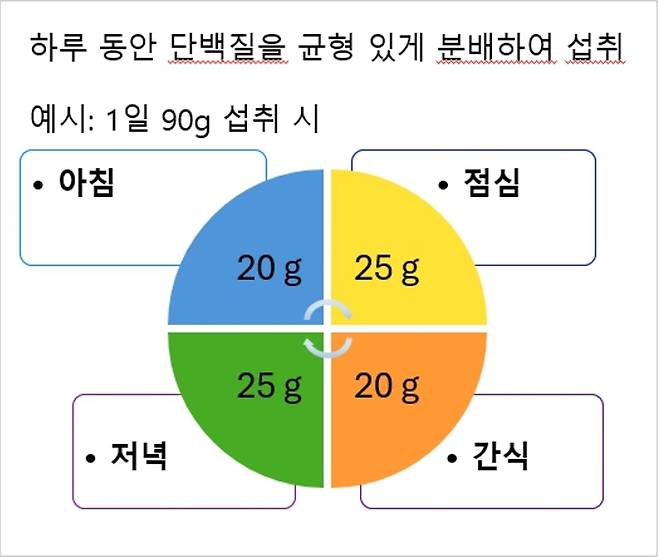 이상적인 하루 단백질 섭취 분배량 [미국유제품수출협회 제공]