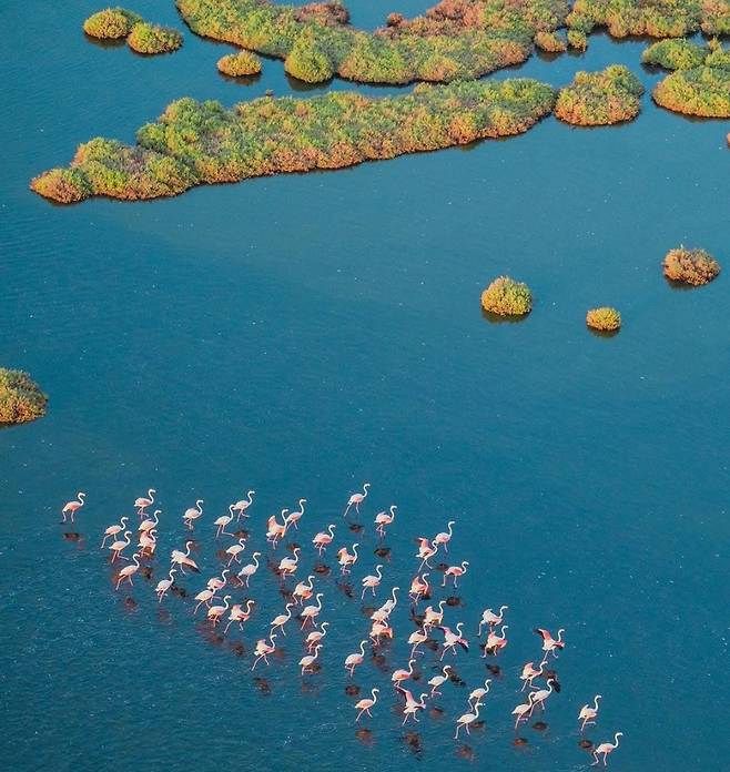 이즈미르 삼각주