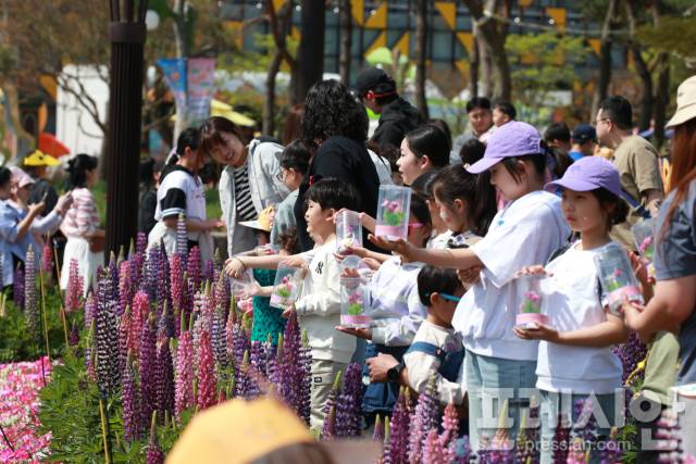 ▲제27회 함평나비대축제가 성황리에 막을 내렸다ⓒ함평군