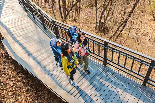 불암산 힐링타운 데크길.