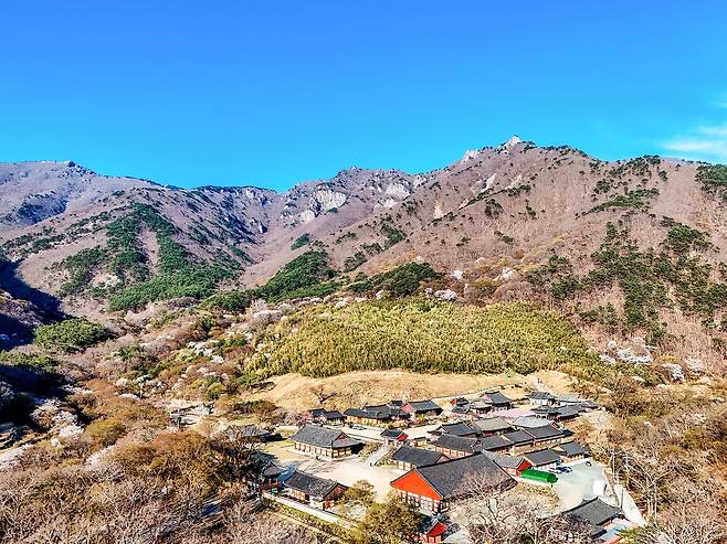 표충사를 병풍처럼 두른 천황산과 재약산[사진/백승렬 기자]