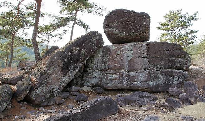 화순 고인돌 유적. /전남도 제공
