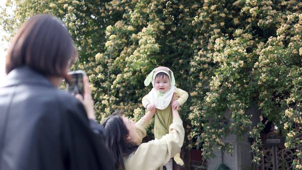 8일 오후 경남 창원시 의창구 명서동 한 가정집 외관에 만개한 목향장미를 배경으로 시민이 사진을 촬영하고 있다. 이곳은 최근 인스타그램 등 사회관계망서비스에 노출되며 포토존으로 인기를 끌고 있다.연합