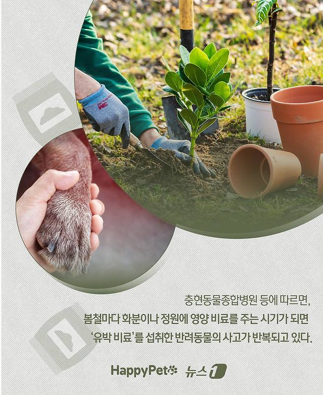 ⓒ News1 윤주희 디자이너