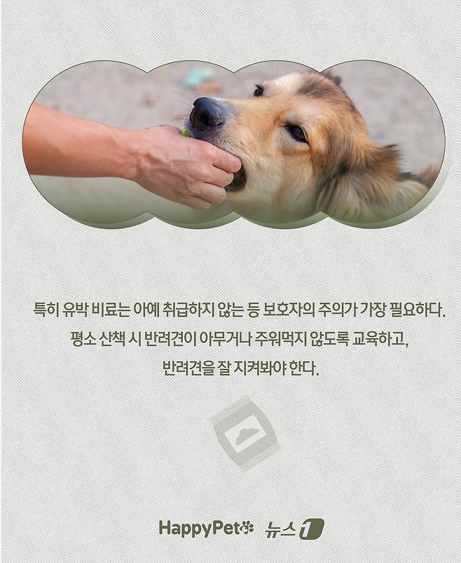 ⓒ News1 윤주희 디자이너