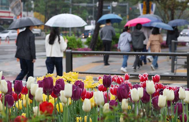 봄비가 내린 지난달 22일 오후 경기 수원시의 한 거리에서 시민들이 우산을 쓰고 지나가고 있다. /뉴스1