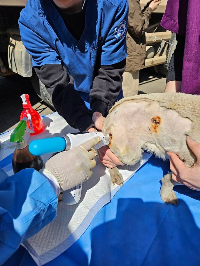 정인성 로얄동물메디컬센터 원장이 지난 3월 31일 경북 영덕 산불 현장에서 벳이즈를 이용해 의료 봉사 활동을 하고 있다./리센스메디컬